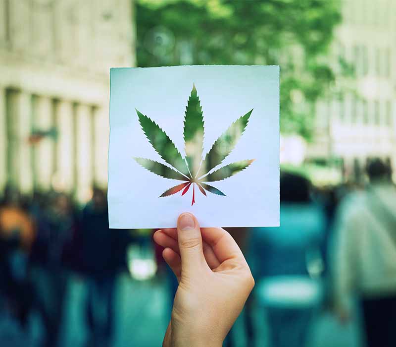 maryland-weed-legalization