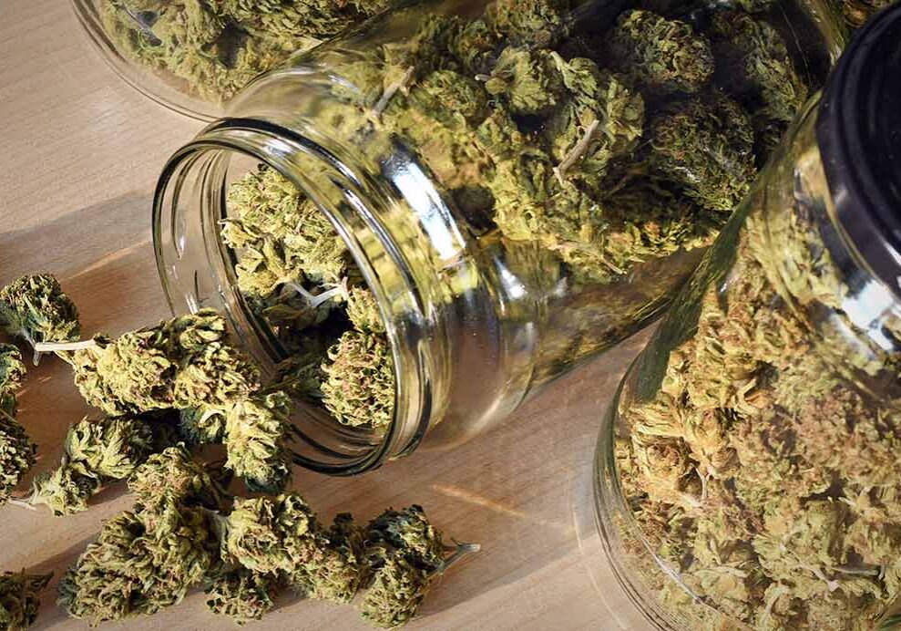 cannabis-in-jars-692x1400-1.jpg
