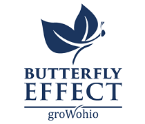 Buttery Effect