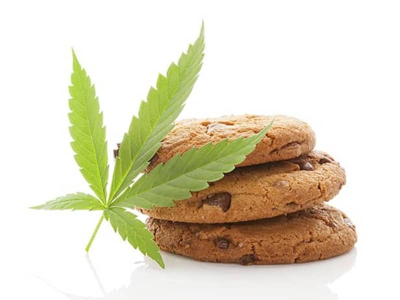 Chocolate-Chip-Cookies-Using-Cannabis-Bloom-Medicinals