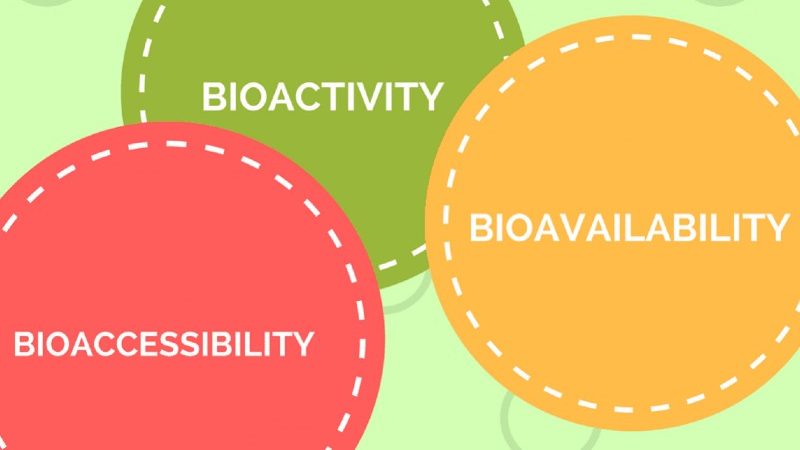 Bioavailability-of-Cannabis-Bloom-Medicinals