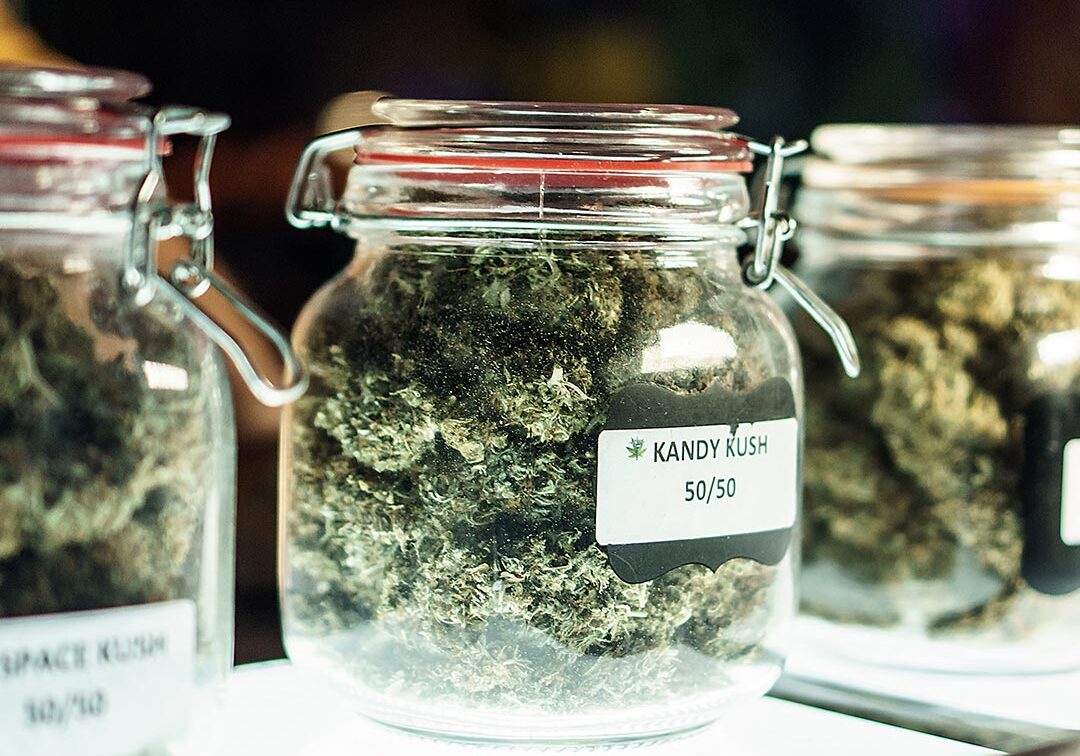 cannabis-in-jars