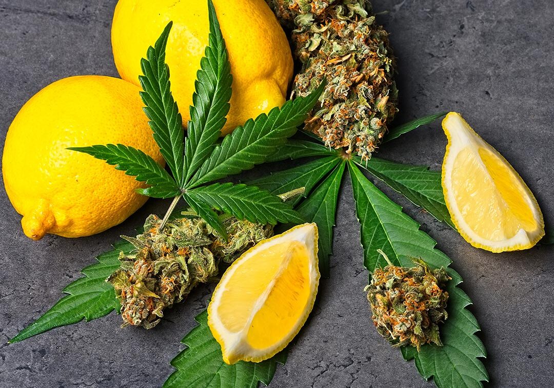 cannabis-and-lemons
